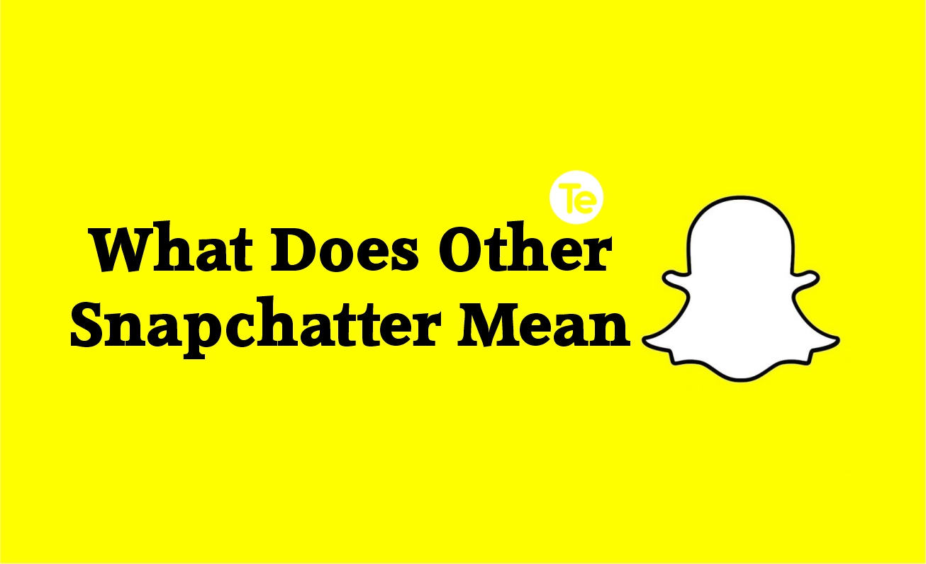 what-does-other-snapchatter-mean-in-2023-terecle