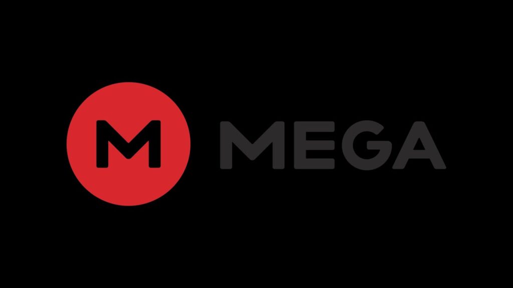 your in browser storage for mega is full