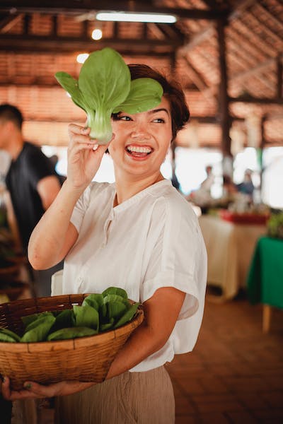 How to Harvest Romaine Lettuce